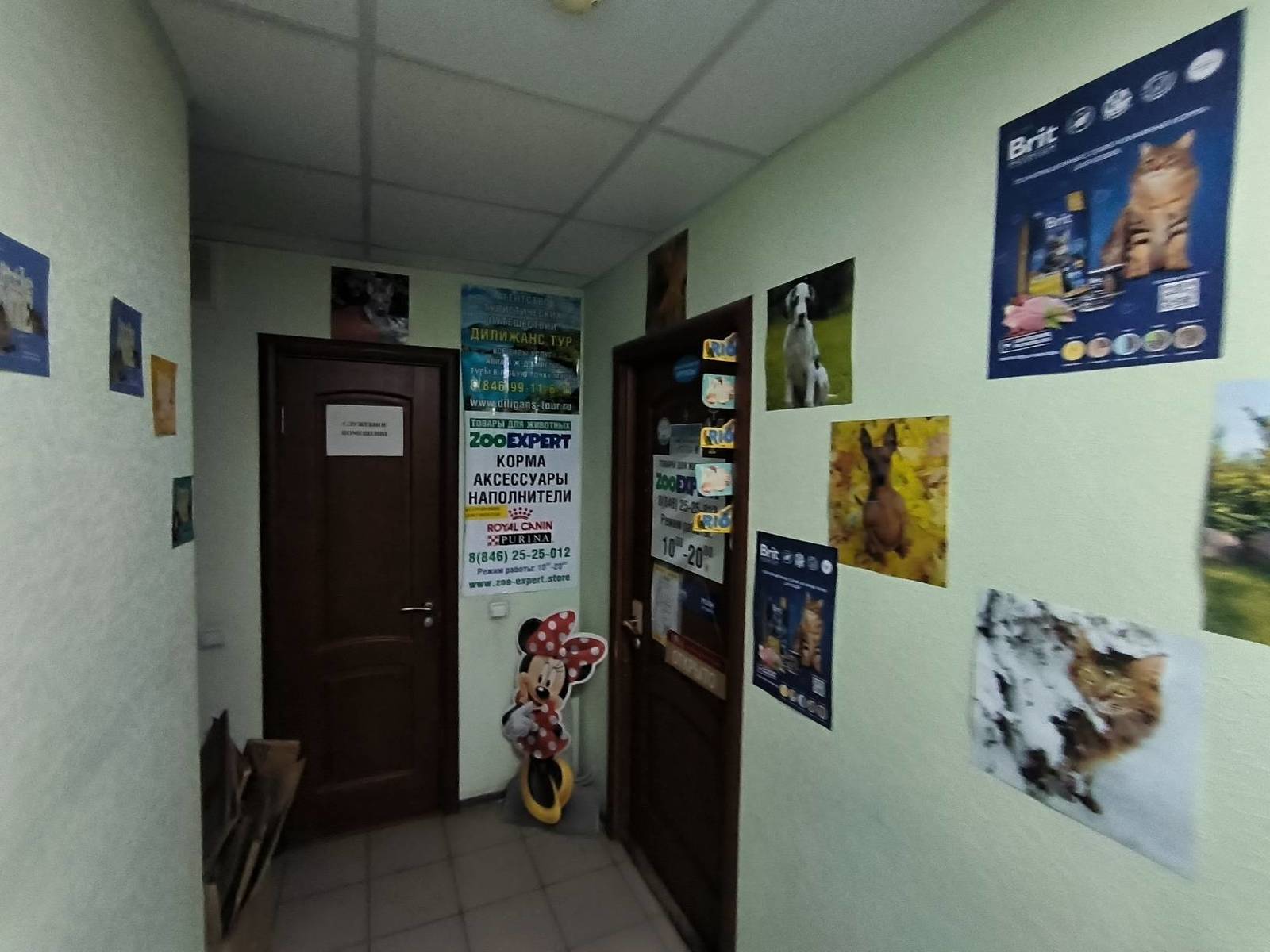 Аренда коммерческой недвижимости, 130м <sup>2</sup>, Самара, Дыбенко улица,  120а