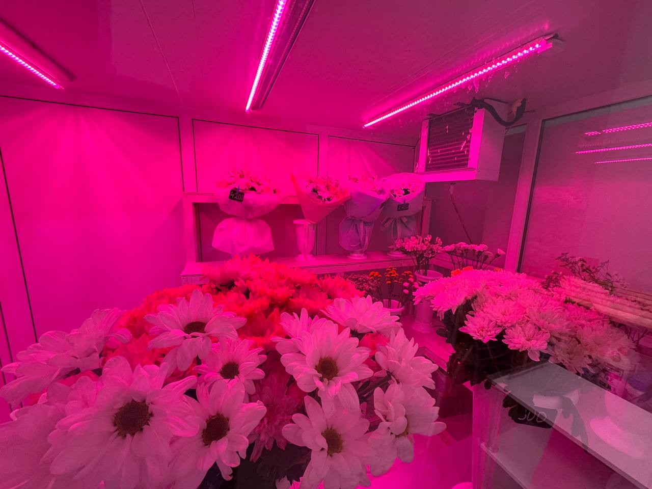 Продажа коммерческой недвижимости, 25м <sup>2</sup>, Самара, 5-я просека,  125