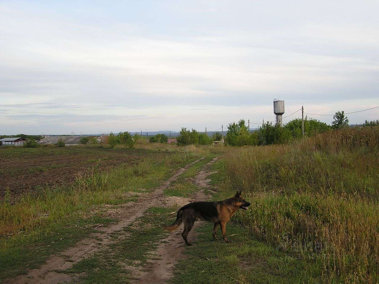 Продажа коммерческой недвижимости, 10000м <sup>2</sup>, Старая Бинарадка