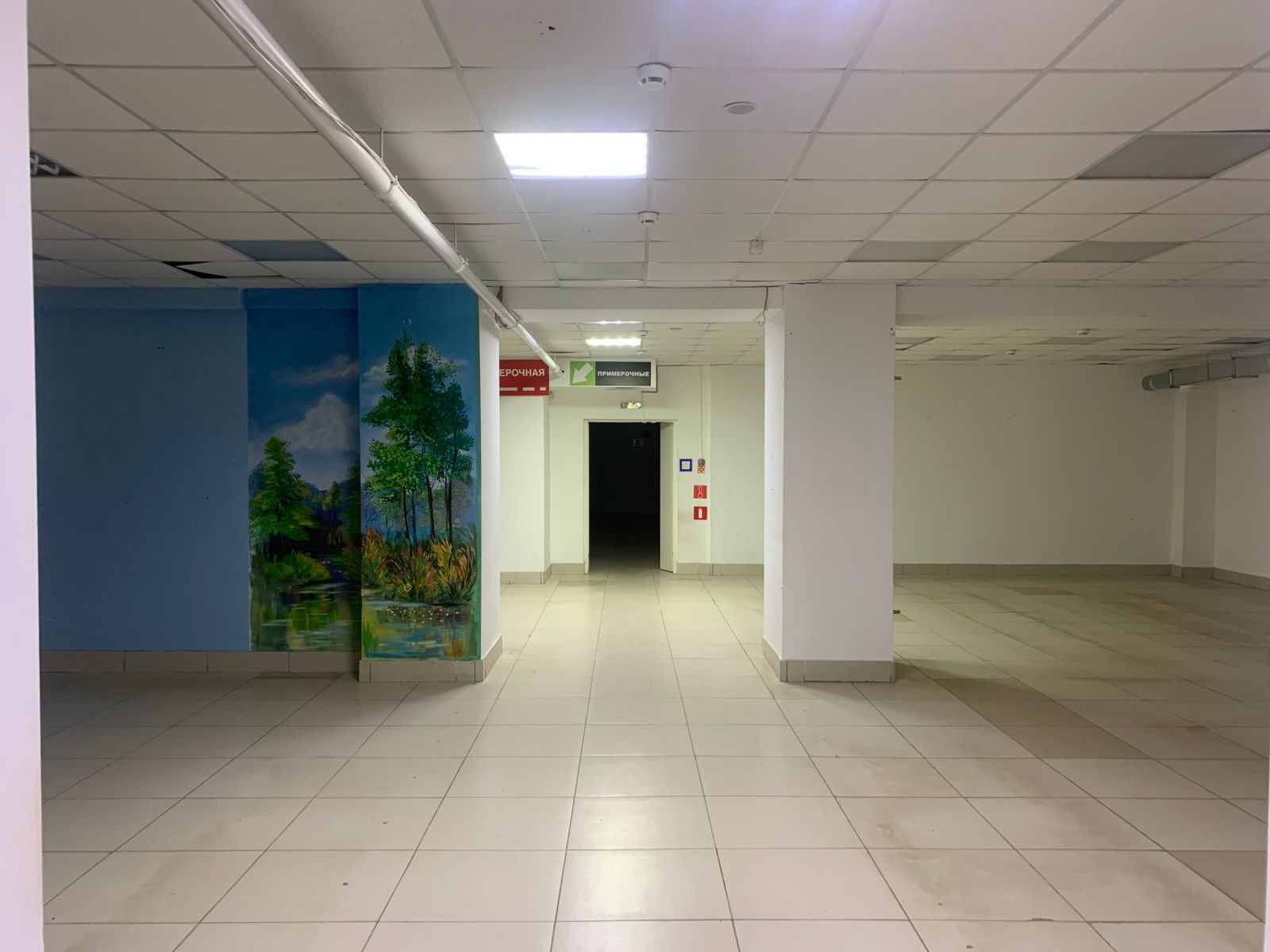 Аренда коммерческой недвижимости, 616м <sup>2</sup>, Самара, Белорусская улица,  88кБ