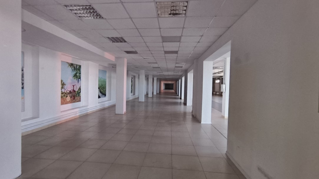 Аренда коммерческой недвижимости, 1515м <sup>2</sup>, Тольятти, Громовой улица,  33