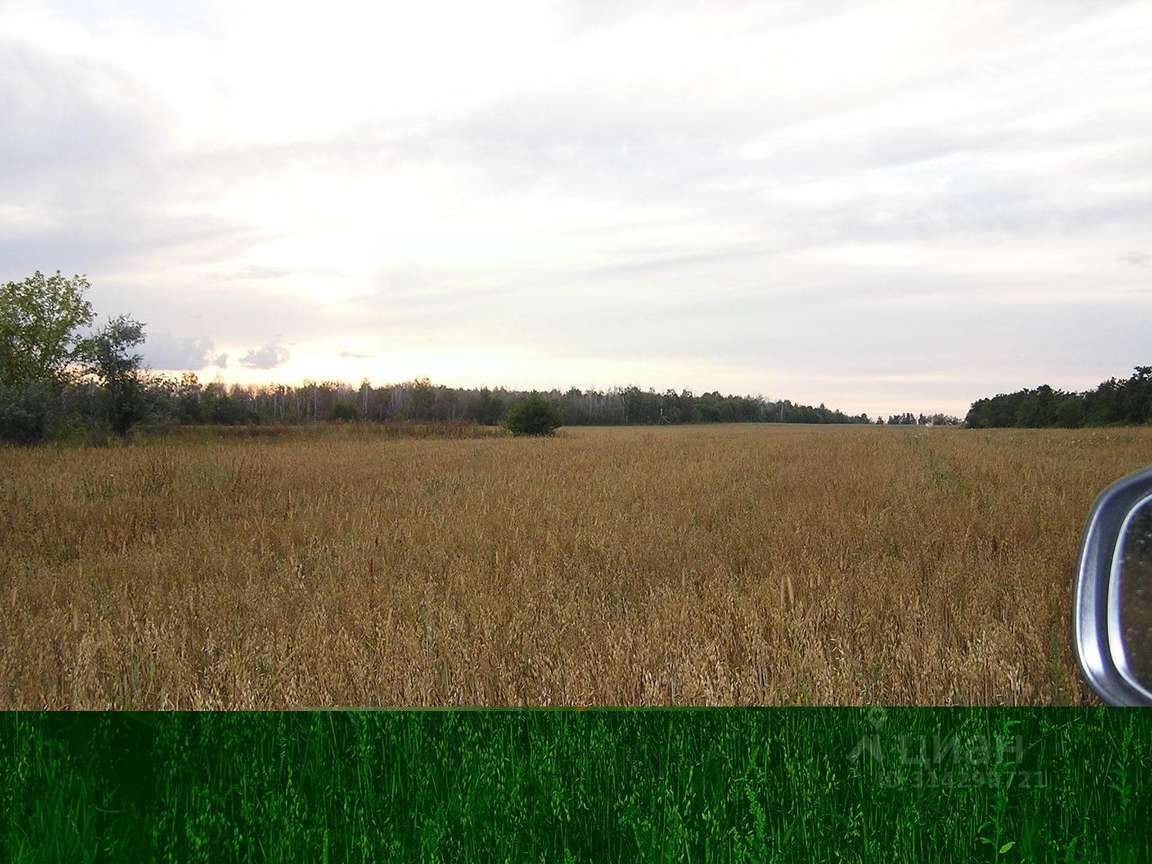 Продажа коммерческой недвижимости, 10000м <sup>2</sup>, Старая Бинарадка