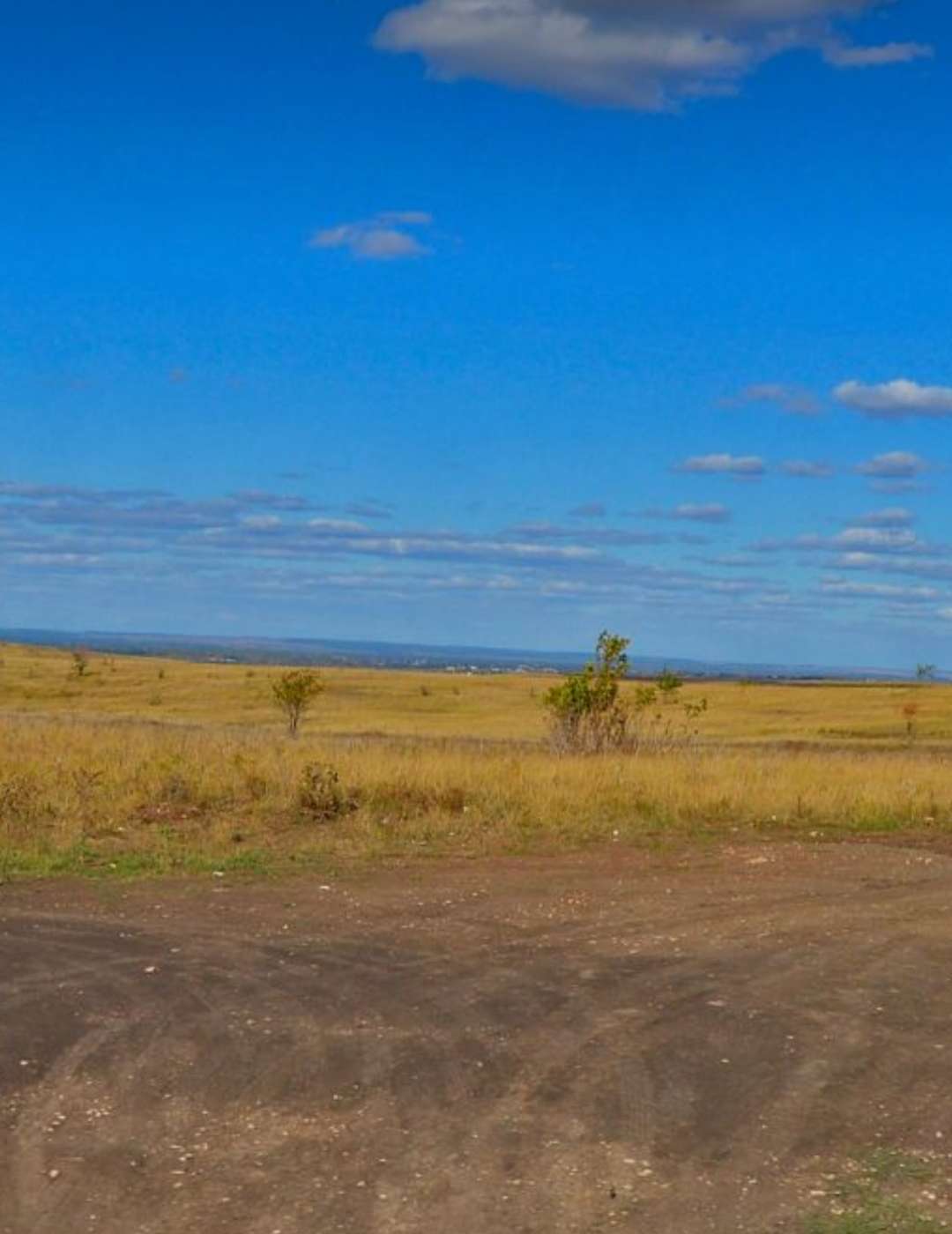 Продажа коммерческой недвижимости, 310м <sup>2</sup>, Самарская, вдоль трассы