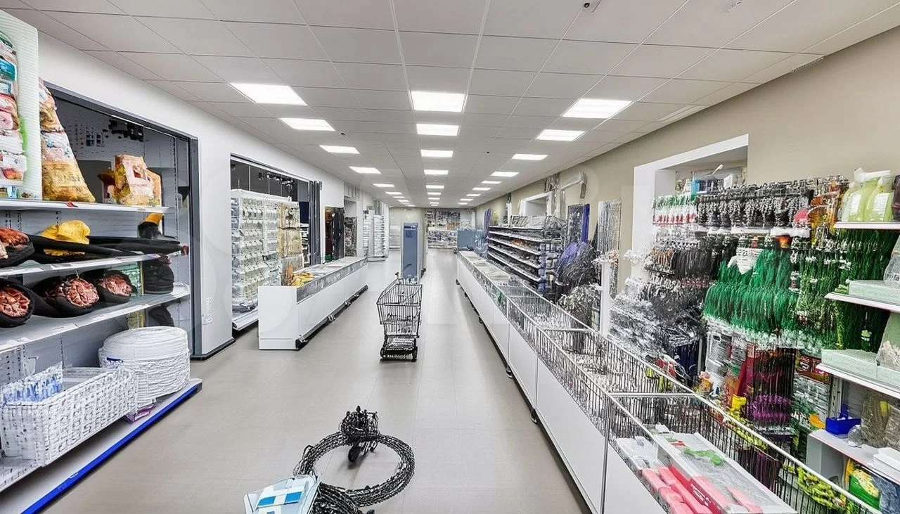 Аренда коммерческой недвижимости, 1433м <sup>2</sup>, Чапаевск, Артиллерийская улица,  7