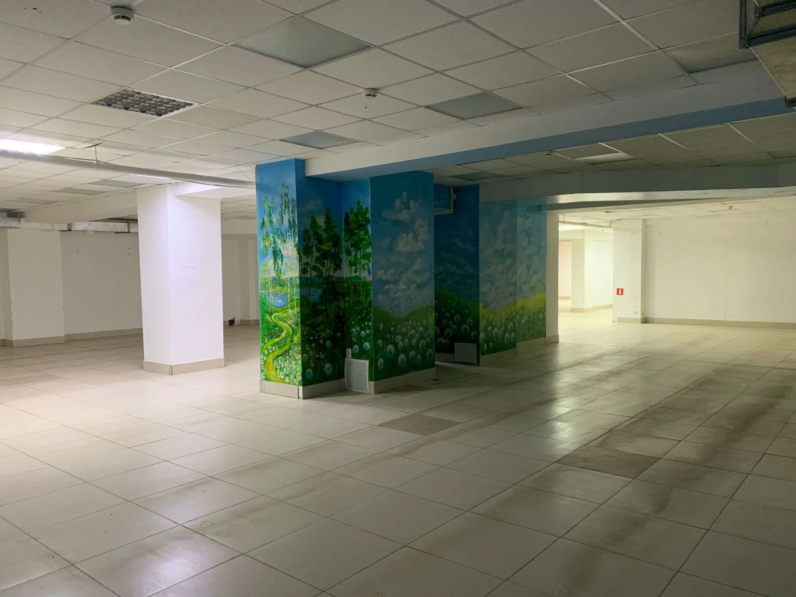 Аренда коммерческой недвижимости, 616м <sup>2</sup>, Самара, Белорусская улица,  88кБ