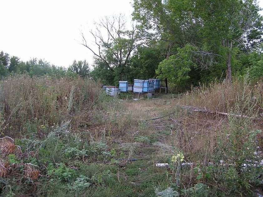 Продажа коммерческой недвижимости, 10000м <sup>2</sup>, Старая Бинарадка