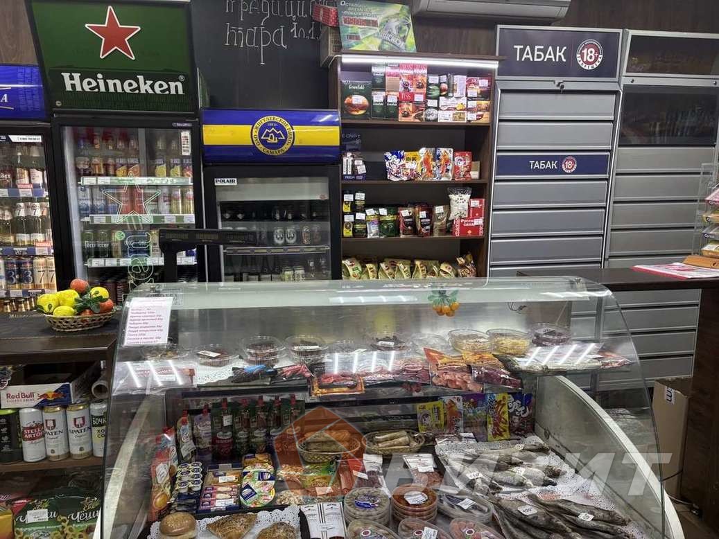 Аренда коммерческой недвижимости, 50м <sup>2</sup>, Самара, Кирова проспект,  255б