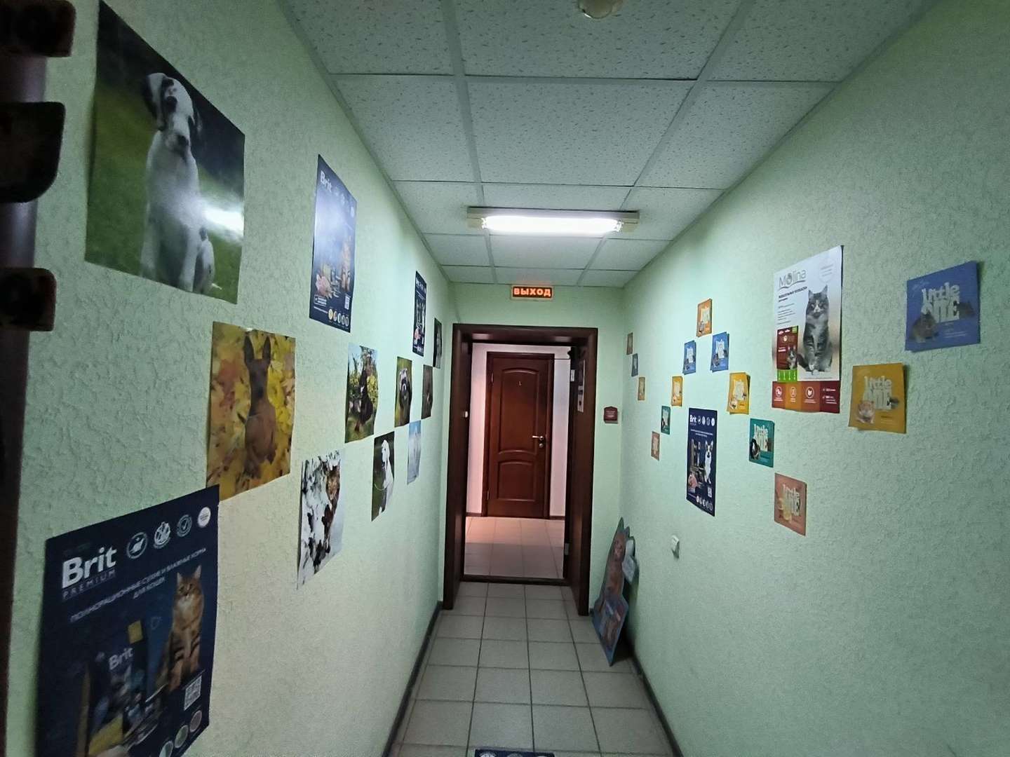 Аренда коммерческой недвижимости, 130м <sup>2</sup>, Самара, Дыбенко улица,  120а