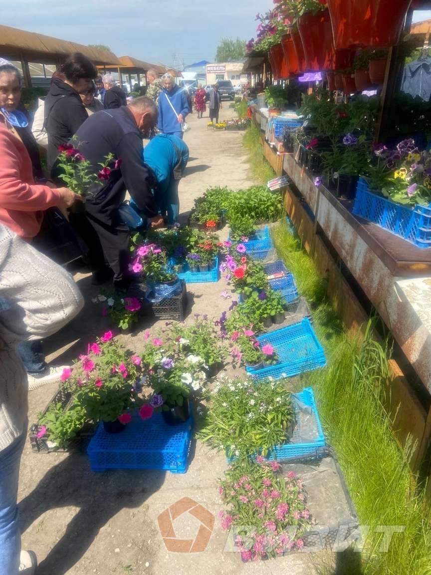 Продажа коммерческой недвижимости, 213м <sup>2</sup>, Чапаевск, Гражданская улица,  7